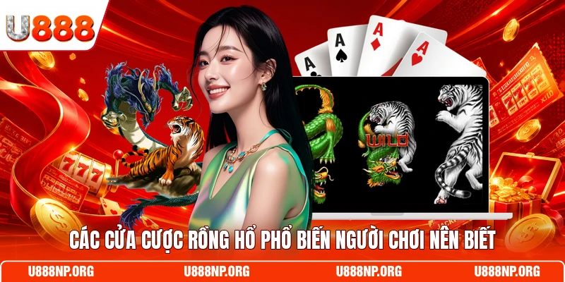 Các cửa cược Rồng Hổ phổ biến người chơi nên biết