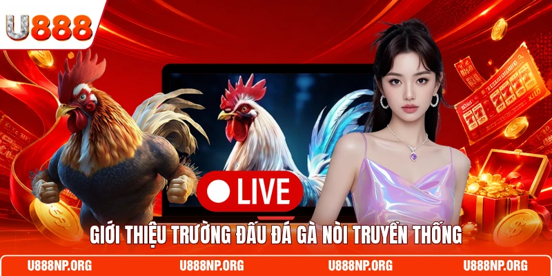 Giới thiệu trường đấu đá gà nòi truyền thống