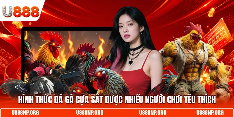Hình thức đá gà cựa sắt được nhiều người chơi yêu thích